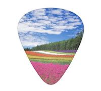 Rainbow Flower Sea Guitar Picks 12 Pack Set Guitar Gift for Bass Picks Acoustic Guitars Plectrums with Clear Storage Box