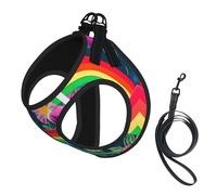 Rainbow Flowers print Dog Harness and Leash Set, Reflective Adjustable Puppy Vest for Small Medium Large Dogs, Cats