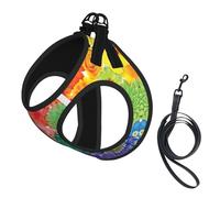 Rainbow Flowers print Dog Harness and Leash Set, Reflective Adjustable Puppy Vest for Small Medium Large Dogs, Cats