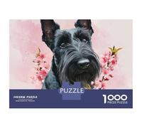 Rainbow Gradient 1000-Piece Color Challenge - A Abstract Jigsaw for Adults, Color Theorists & Patient Teens. Sorted Only by Hue, This Is A Pure Test of Visual Perception.