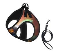 Rainbow Halloween Ghost Witch Hat Spiders Print Dog Harness,Pet Leash Vest For Small To Medium Dogs,Perfect For Outdoor Adventures