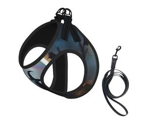 Rainbow Halloween Ghost Witch Hat Spiders Print Step in Dog Harness and Leash Set,Adjustable Reflective Harness for Small Dogs Cats