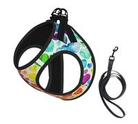 Rainbow Hearts Printing Puppy Summer Vest Harness With Reflective,Dog Accessories For Small Medium Large Dogs And Cats