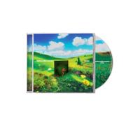 Rainbow Kitten Surprise - bones