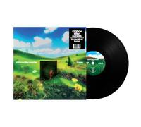 Rainbow Kitten Surprise - bones [Black Vinyl]