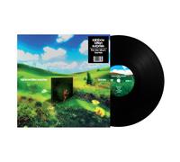 Rainbow Kitten Surprise - bones [Black Vinyl]