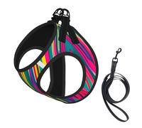 rainbow lines print Dog Harness and Leash Set, Reflective Adjustable Puppy Vest for Small Medium Large Dogs, Cats