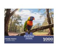 Rainbow Lorikeet 1000pc Puzzle Relaxing Brain Game For Adults Mindfulness Bird Perfect Giftable Puzzle 38x26cm/1000pcs