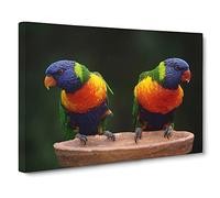 Rainbow Lorikeet Parrot Birds Canvas Print | Gallery Wrapped 30mm Frame Wall Art | 20x14 inches | Ready to Hang | Modern Animals Picture | Living Room Bedroom Lounge Office