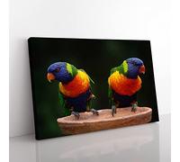 Rainbow Lorikeet Parrot Birds Modern Canvas Wall Art Print Ready to Hang, Framed Picture for Living Room Bedroom Home Office Décor, 50x35 cm (20x14 Inch)