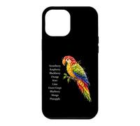 Rainbow Macaw Fruit Parrot Art Colorful Tropical Bird Design Case for iPhone 12 Pro Max