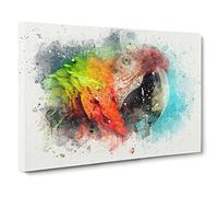 Rainbow Macaw Parrot Canvas Print | Gallery Wrapped 30mm Frame Wall Art | 20x14 inches | Ready to Hang | Modern Animals Picture | Living Room Bedroom Lounge Office