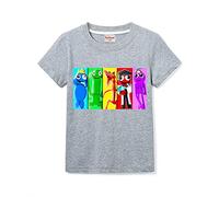 Rainbow Merch Boys Short Sleeve Girls Tee Kids 100% Cotton Printed T-Shirt (Gray,11-12 Years,11 Years,12 Years)