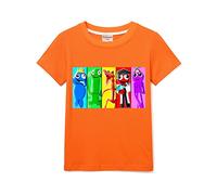Rainbow Merch Boys Short Sleeve Girls Tee Kids 100% Cotton Printed T-Shirt (Orange,9-10 Years,9 Years,10 Years)
