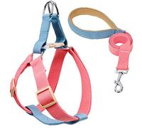 Rainbow Multi-Colour Dog Harness and Leash Set, Adjustable Easy to Wear Dog Harness and Leash Set (Pink Blue,Small)
