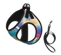 Rainbow Ocean Print Small Dog Harness And Leash Set, Adjustable Soft Vest With 360° Reflective Straps For Cats Puppy
