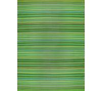 Rainbow Outdoor Rug Green | 1020 - 150X220 cm