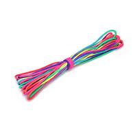 Rainbow Paracord, Durable and Lightweight Seven Parachute Rope, Perfect for Camping, Hiking, and Fishing