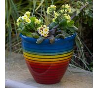 Rainbow Planter 33cm x 2