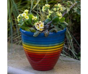Rainbow Planter 33cm x 2