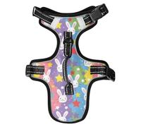 Rainbow Playful Bunny Reflective Dog Safety Vest for Cats Training Accessories Dog Vest for Walking chalecos para Perros
