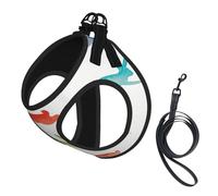 Rainbow Rabbit Print Harness Leash Set For Cat Dog, Reflective Adjustable Escape-Proof Vest Lead With Soft Breathable Mesh, For Small Pets And Kitten Puppy