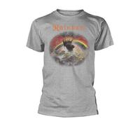 RAINBOW: RISING DISTRESSED (SPORTS GREY) - T-shirt (XXL)