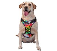 Rainbow Rose Flower Pet Traction Vest Vest Harness Dog Harness Medium Sized Dog Pet Supplies Outdoor Travel Dog Walking