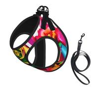 Rainbow Rose Flower print Dog Harness and Leash Set, Reflective Adjustable Puppy Vest for Small Medium Large Dogs, Cats