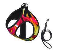 Rainbow Rose print Dog Harness and Leash Set, Reflective Adjustable Puppy Vest for Small Medium Large Dogs, Cats
