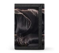 Rainbow Rose Trifold Wallet Front Pocket Coin Purse - Slim Credit Card Holder for Men & Women, Black Labrador Puppy, One Size, Classic