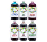 Rainbow Slush Syrup AZO Free | 6 x 1 Litre Bottle | Concentrate for Slushy Maker Ice Slush Machines Ice Machines Drinks 1:5 to 1:20 (6 x Mixed)
