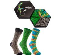 Rainbow Socks - Men Women Novelty Reptile Socks Box Gift - 3 Pairs