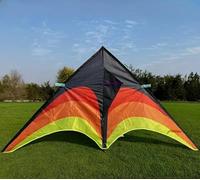 Rainbow Sport Kite, Large Outdoor Flying Toy with Multi-Colour Design (110cm)