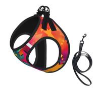 Rainbow Stars print Dog Harness and Leash Set, Reflective Adjustable Puppy Vest for Small Medium Large Dogs, Cats