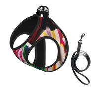Rainbow Stripe Print Pet Leash Vest Soft Adjustable Step in Puppy Vest Outdoor Walking with Leash