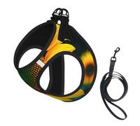 Rainbow Sunflower print Dog Harness and Leash Set, Reflective Adjustable Puppy Vest for Small Medium Large Dogs, Cats
