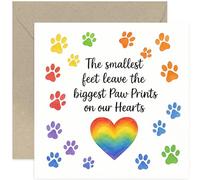 Rainbow Sympathy Card for Dog or Cat Owner, Pet Bereavement Condolences Gift, Blank Inside with Envelope