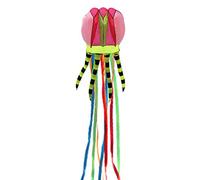 Rainbow Tail Kite Fish Kite Soft Easy Fly For W/Long Tail Popular Beach Activity Parent-Child Entertain Kites For Kids Making