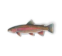 Rainbow Trout Fish - 5.5" Magnet for Car Locker Refrigerator