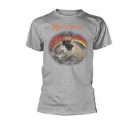 Rainbow Unisex Adult Rising Distressed Regular T-ShirtXXL Sports Grey PH2429