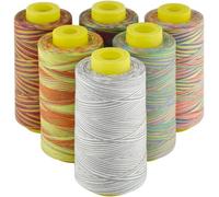 Rainbow Variegated Polyester Serger Sewing Thread, 6 Cones of 3000 Yards Each, All-Purpose for Sewing Machine, Overlock, Quilting, Hand Embroidery,40S/2