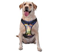 Rainbow X-Large Printed pet Traction Vest for Pets to wear When Walking The Dog or Climbing Mountains