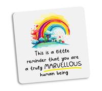 Rainbow You Are A Truly Marvellous Human Being Coaster - Friendship Gift, Thank You Gift, Positivity, Rainbow bestie quote