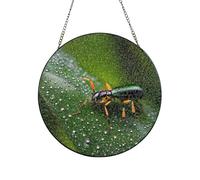 Rainbows Insects Stained Glass Sun Catcher for Window Garden Hanging Suncatchers Balcony Decor Gift 10in（25cm）