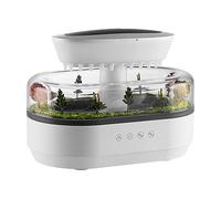 Raindrop Air Humidifier for Rooms | Aroma Diffuser with a Light Ultrasonic Cloud Tree Night Diffuser with 7 Colors for Essential Oils, Aromathor