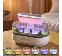 Raindrop Humidifier Diffuser, 250ml Raindrop Aroma Diffuser, LED Mood Light, Auto Off, Micro Landscape Natural Raindrop Cool Mist Humidifier for Bedroom/Yoga/Meditation, White (DC 24V)