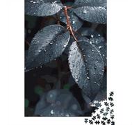 Raindrops on Leaves 1000-Piece Jigsaw Puzzle for Adults, 38x26cm/1000pcs, Quiet Home Activity, Evening Leisure And Year-Round Leisure