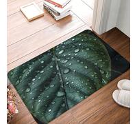 Raindrops on Leaves Indoor Doormat Washable Welcome Mats Non Slip Entryway Floor Mat Floor Outdoor Indoor Rug for Home Entrance, Outside Entry, Yard 23.6 X 15.7 Inch