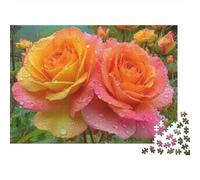 Raindrops on Roses 1000 Pieces Puzzles Beautiful View Rainbow Flowers Home Decoration Educational Game Gifts Puzzles for Adults Jigsaw Puzzles for Adults 38x26cm/1000pcs